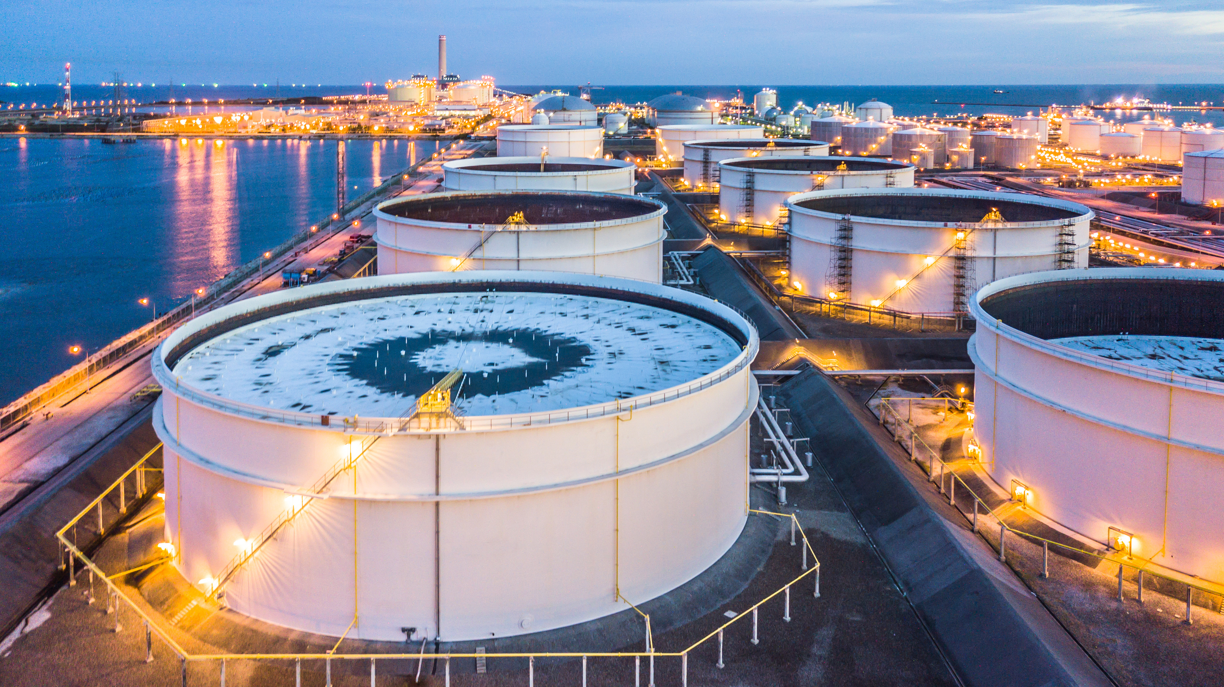 Who are the biggest players in the tank terminal market?