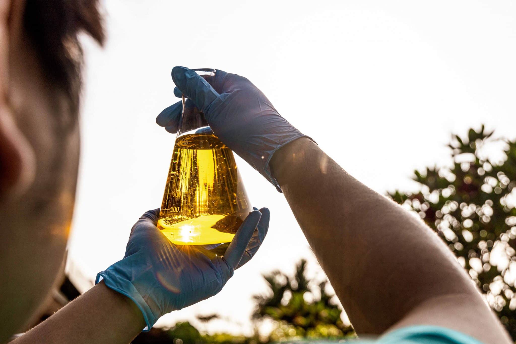 Next-Gen Biofuels: Harnessing the Power of GMOs for a Sustainable Future