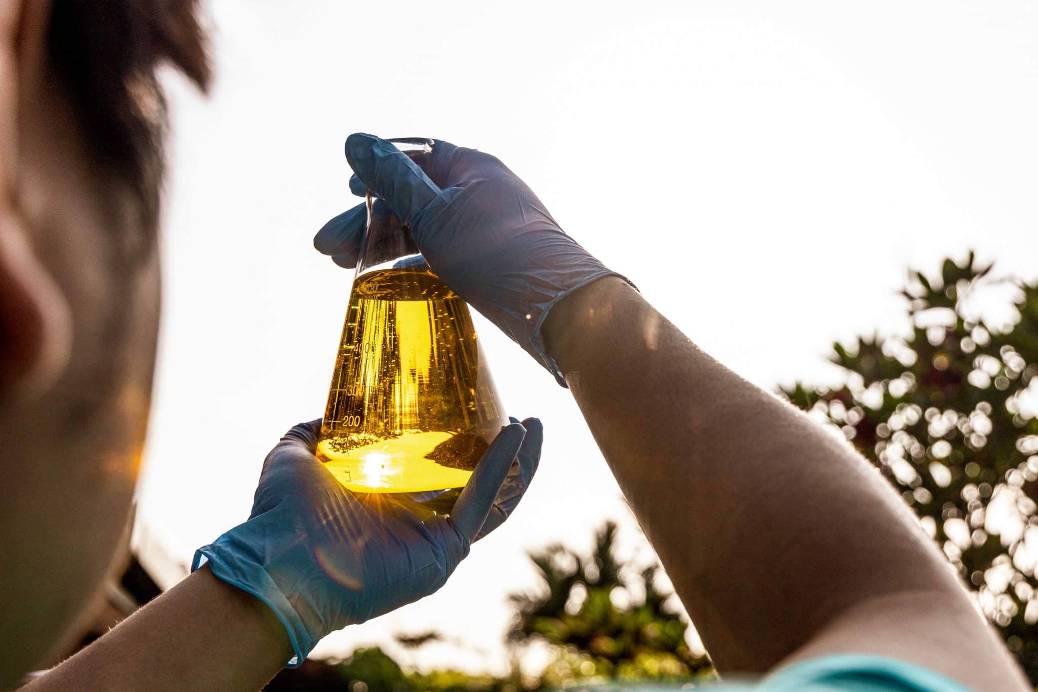 EU Biodiesel Industry Concerned on Import Labelling